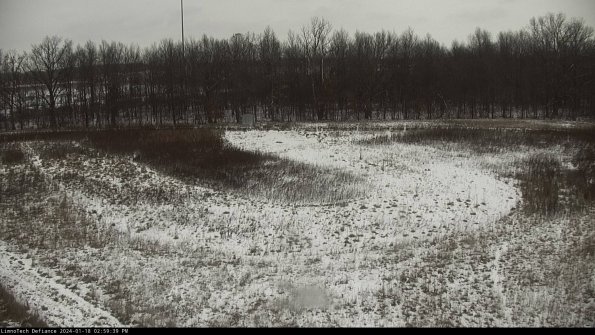 Cell 4_24-01-18_14-59-39-93