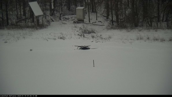 Basin Inflow_24-01-19_07-45-14-04