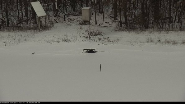 Basin Inflow_24-01-19_16-41-04-91