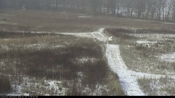 Cell 1 to 2_24-01-19_11-04-02-91