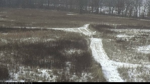 Cell 1 to 2_24-01-19_12-11-02-93