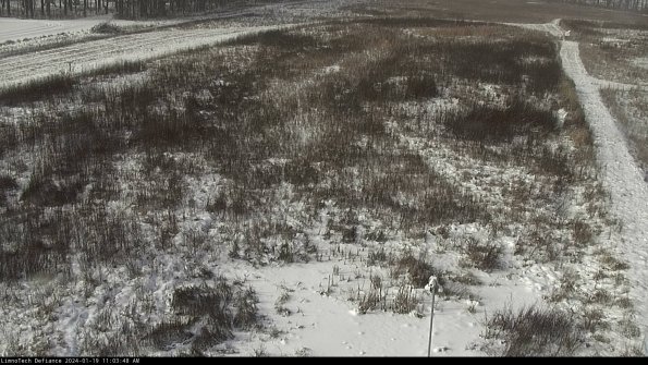 Cell 1_24-01-19_11-03-48-93