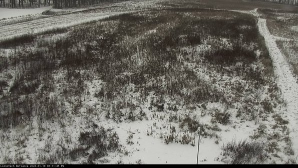 Cell 1_24-01-19_15-31-45-94