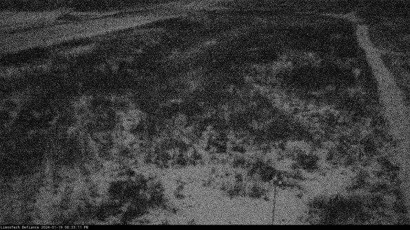 Cell 1_24-01-19_20-33-11-94