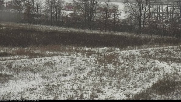 Cell 2 to 3_24-01-19_14-25-27-16