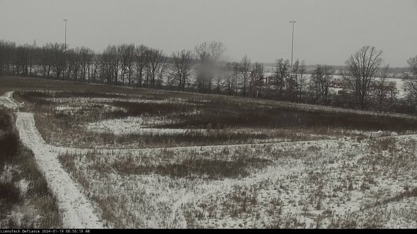 Cell 2_24-01-19_08-50-19-94