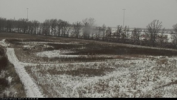 Cell 2_24-01-19_10-30-46-04