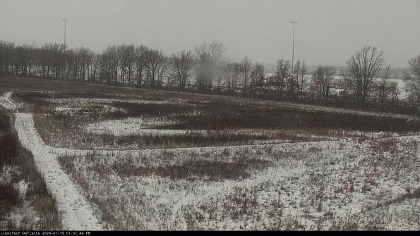 Cell 2_24-01-19_13-51-44-96