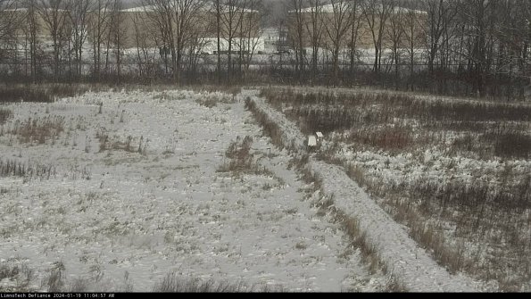 Cell 3 to 4_24-01-19_11-04-57-93