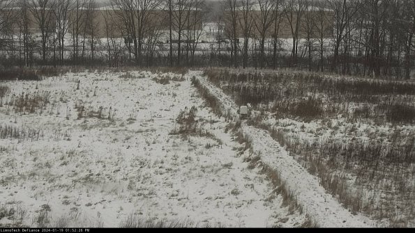 Cell 3 to 4_24-01-19_13-52-26-94