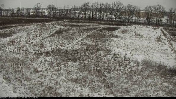 Cell 3_24-01-19_12-45-13-93