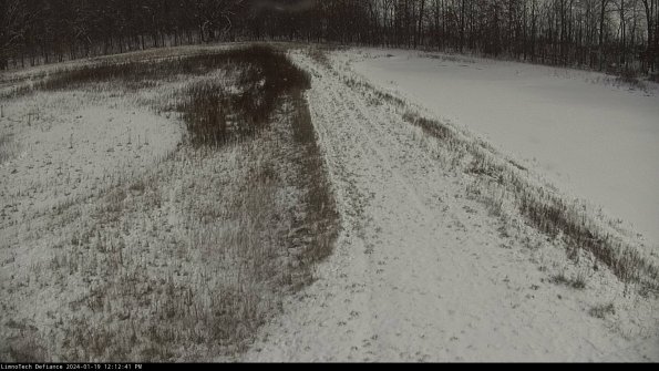 Cell 4 to Basin_24-01-19_12-12-41-93