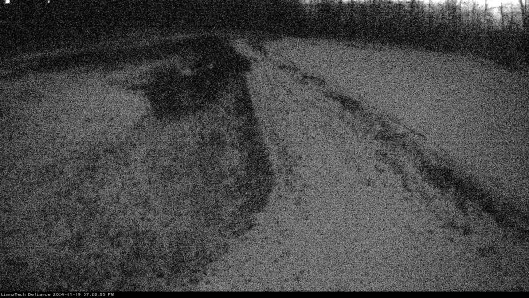 Cell 4 to Basin_24-01-19_19-28-05-94