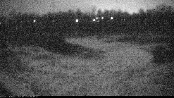 Cell 4_24-01-19_07-10-47-90