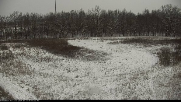 Cell 4_24-01-19_09-58-12-92