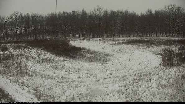 Cell 4_24-01-19_13-52-40-92