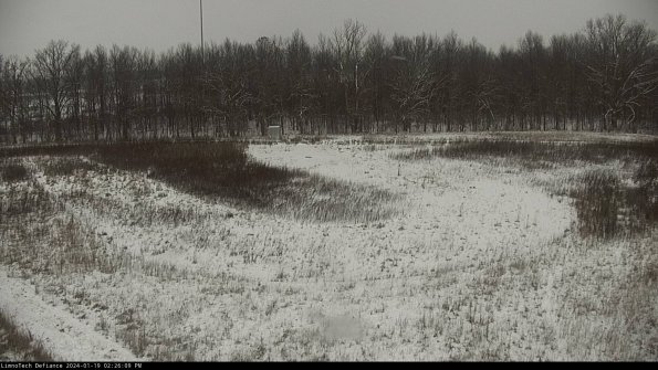 Cell 4_24-01-19_14-26-09-93