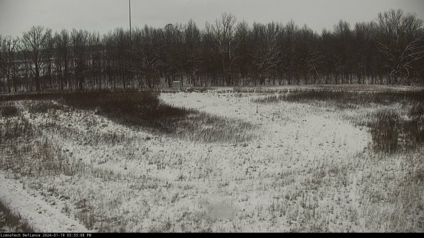 Cell 4_24-01-19_15-33-08-96