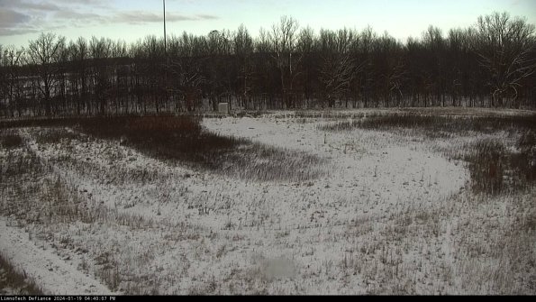 Cell 4_24-01-19_16-40-07-92