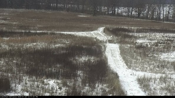 Cell 1 to 2_24-01-20_12-11-01-90