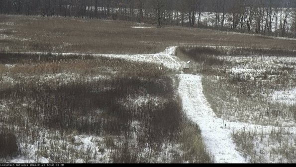 Cell 1 to 2_24-01-20_12-44-30-92