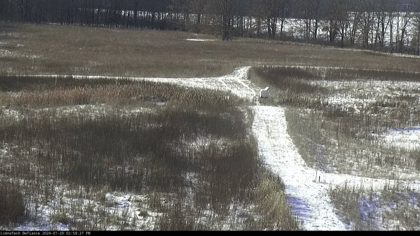 Cell 1 to 2_24-01-20_14-58-27-91