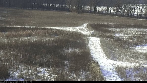 Cell 1 to 2_24-01-20_16-05-25-90