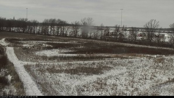 Cell 2_24-01-20_13-18-13-95