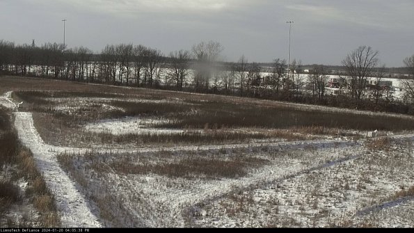 Cell 2_24-01-20_16-05-38-95