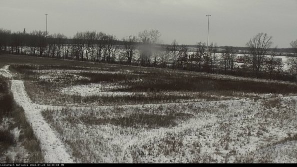 Cell 2_24-01-20_16-39-08-97