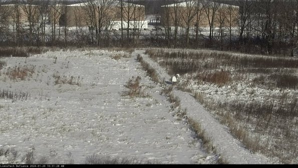 Cell 3 to 4_24-01-20_10-31-28-92