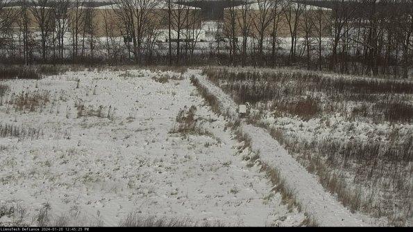 Cell 3 to 4_24-01-20_12-45-25-91