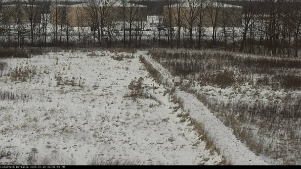 Cell 3 to 4_24-01-20_16-39-50-94