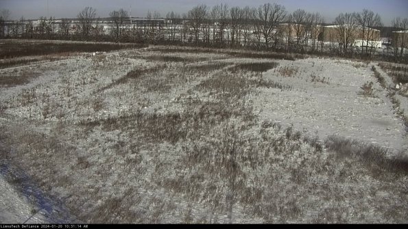 Cell 3_24-01-20_10-31-15-10