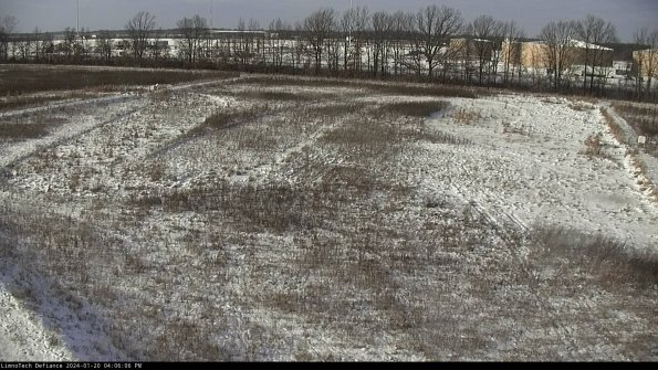 Cell 3_24-01-20_16-06-06-91