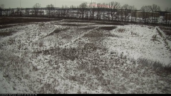 Cell 3_24-01-20_17-46-34-95