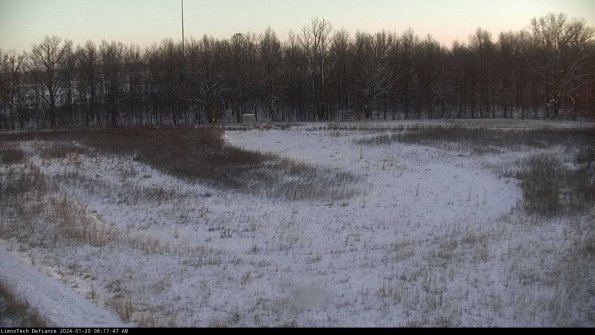 Cell 4_24-01-20_08-17-47-92