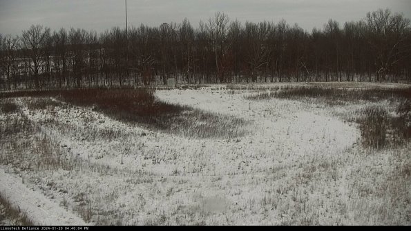 Cell 4_24-01-20_16-40-04-89