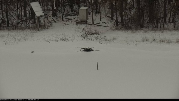 Basin Inflow_24-01-21_08-18-44-93