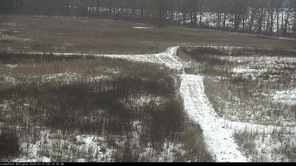 Cell 1 to 2_24-01-21_08-16-38-93