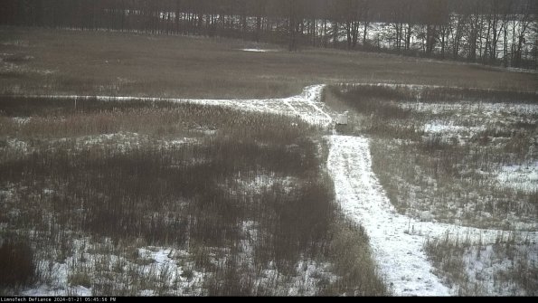 Cell 1 to 2_24-01-21_17-45-56-93