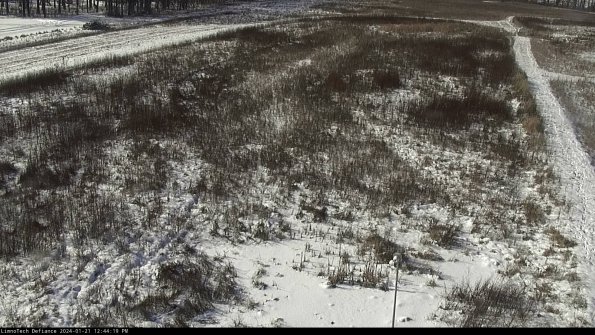 Cell 1_24-01-21_12-44-19-92