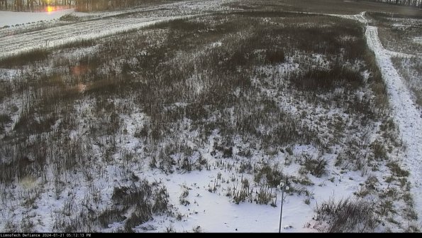 Cell 1_24-01-21_17-12-13-94