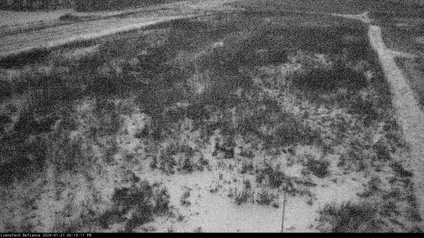 Cell 1_24-01-21_18-19-11-93