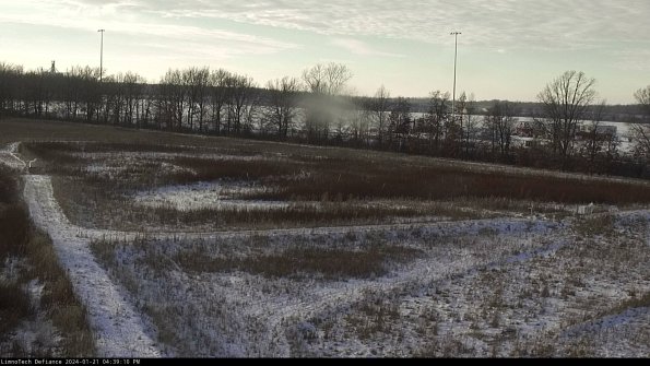 Cell 2_24-01-21_16-39-10-96