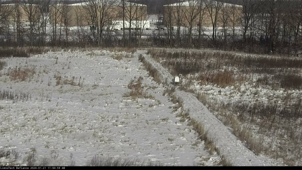 Cell 3 to 4_24-01-21_11-04-59-95