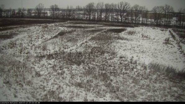 Cell 3_24-01-21_07-43-51-17