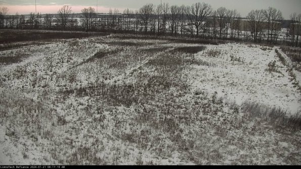 Cell 3_24-01-21_08-17-19-91