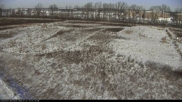 Cell 3_24-01-21_10-31-17-12