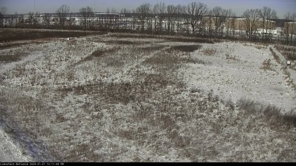 Cell 3_24-01-21_12-11-44-93